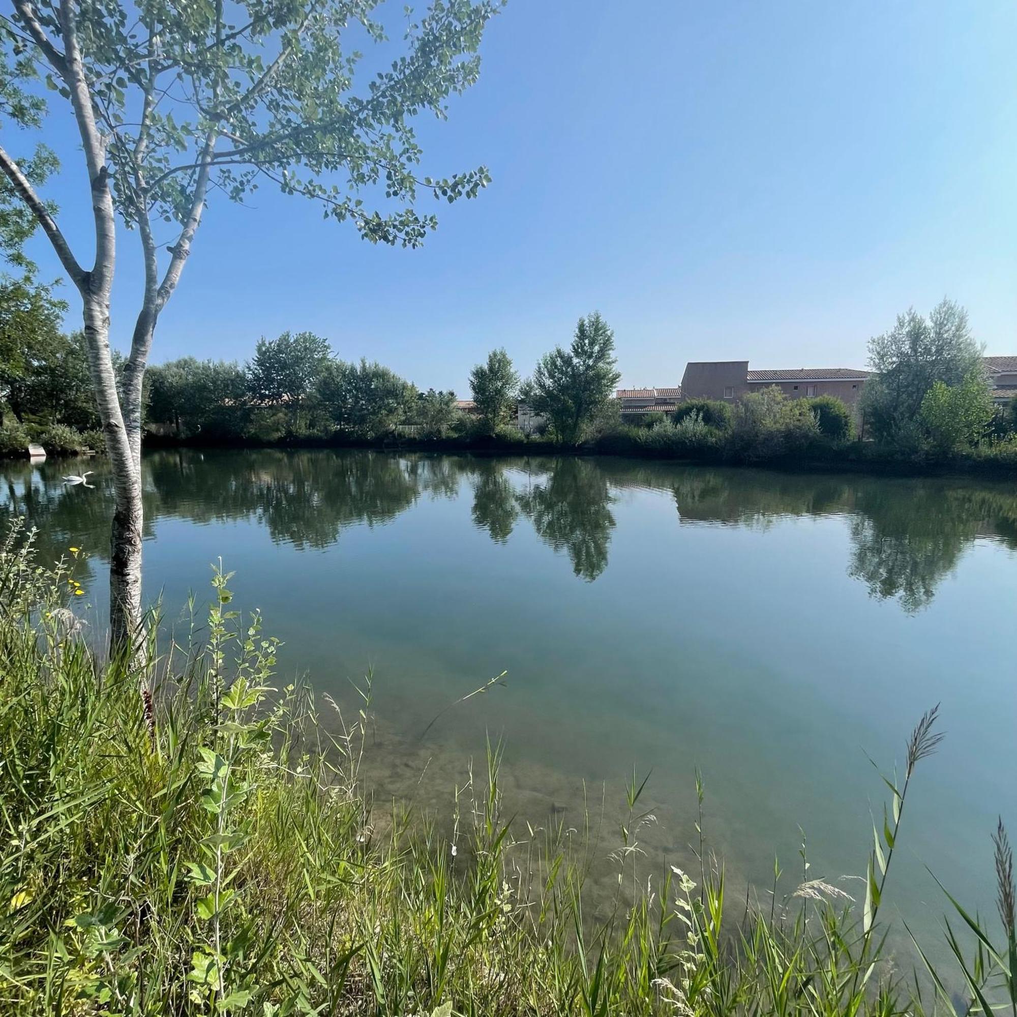 Maison Plain Pied Avec Climatisation Dans Une Residence Privee Avec Piscine Saint-Saturnin-lès-Avignon Dış mekan fotoğraf